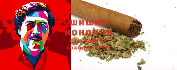 тгк Новозыбков