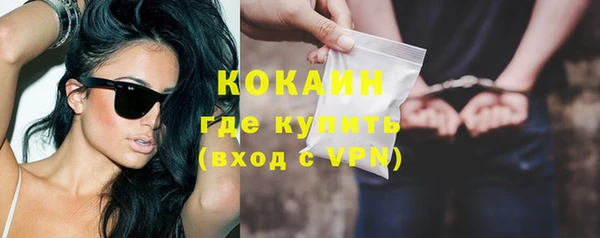 тгк Новозыбков