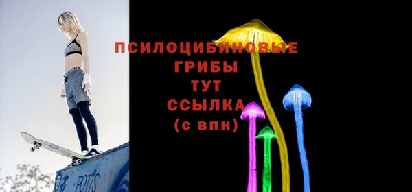 тгк Новозыбков