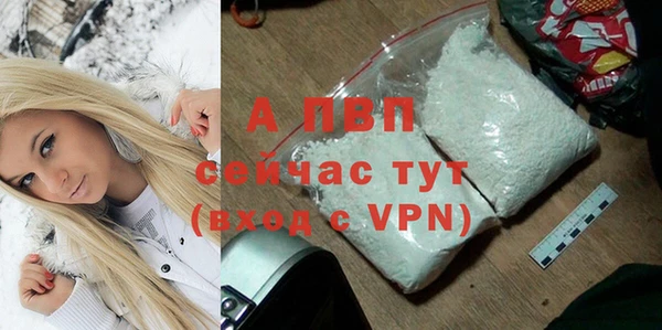 тгк Новозыбков