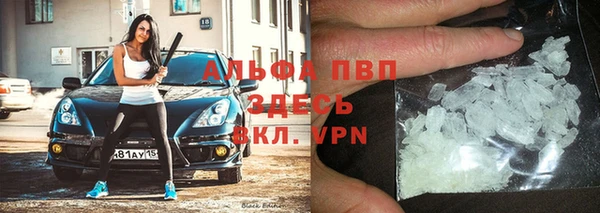 ПСИЛОЦИБИНОВЫЕ ГРИБЫ Новокубанск